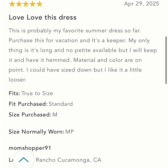 NWT‎ By Anthropologie x Harlinah Teoh Size Small Plunge Linen Maxi Dress - Picture 7 of 8